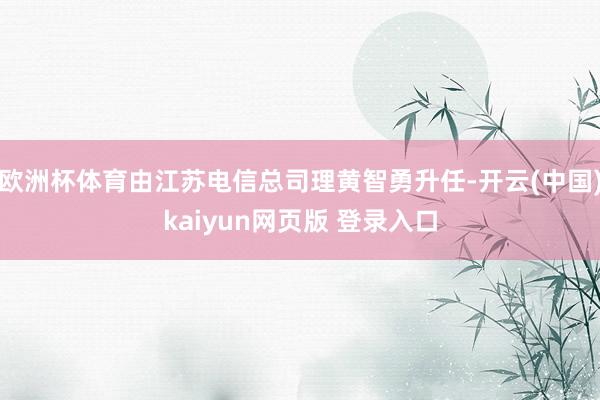 欧洲杯体育由江苏电信总司理黄智勇升任-开云(中国)kaiyun网页版 登录入口
