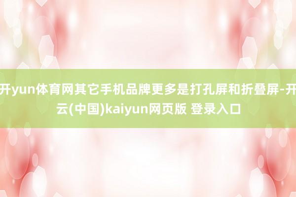 开yun体育网其它手机品牌更多是打孔屏和折叠屏-开云(中国)kaiyun网页版 登录入口