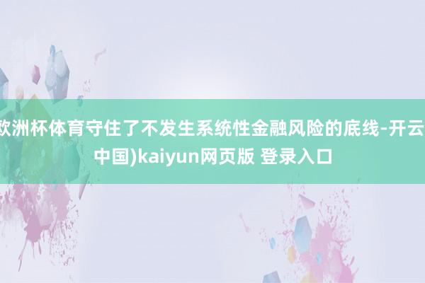 欧洲杯体育守住了不发生系统性金融风险的底线-开云(中国)kaiyun网页版 登录入口