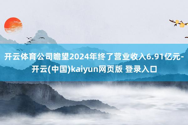 开云体育公司瞻望2024年终了营业收入6.91亿元-开云(中国)kaiyun网页版 登录入口