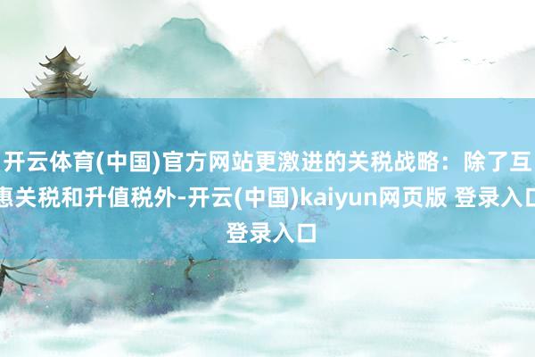 开云体育(中国)官方网站更激进的关税战略：除了互惠关税和升值税外-开云(中国)kaiyun网页版 登录入口
