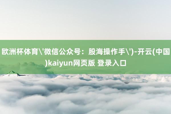 欧洲杯体育'微信公众号：股海操作手')-开云(中国)kaiyun网页版 登录入口