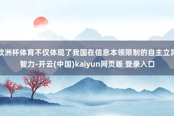 欧洲杯体育不仅体现了我国在信息本领限制的自主立异智力-开云(中国)kaiyun网页版 登录入口